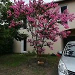Maison Familiale Proche Ocean سان فينسنت دو تيروسيه