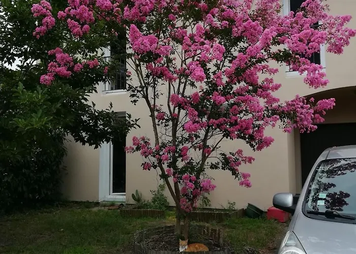 Maison Familiale Proche Ocean Saint-Vincent-de-Tyrosse